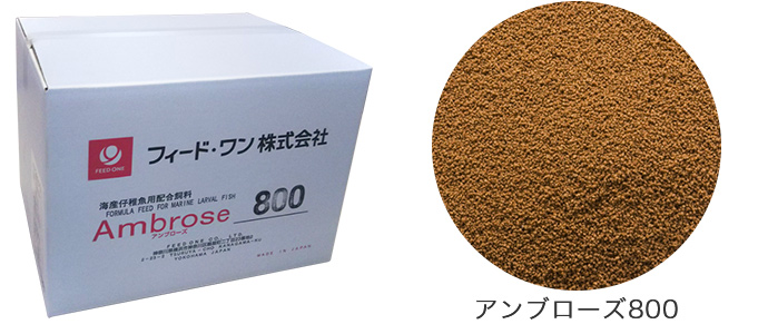 46％割引 フィードワンアンブローズ100粒度80230μm1kg5個/箱観賞魚の餌にメダ - www.contraloria.pinos