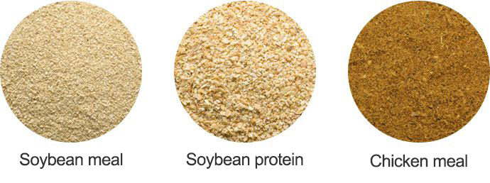 Soybean meal Soybean protein Chicken meal