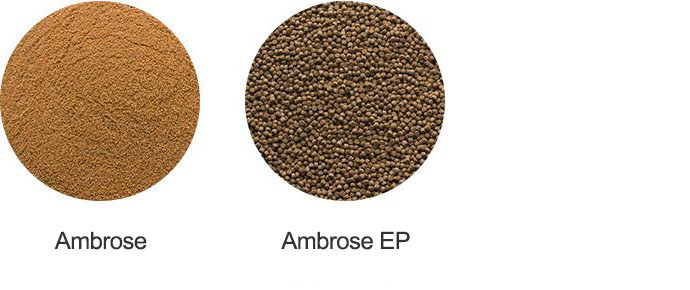 Ambrose Ambrose EP